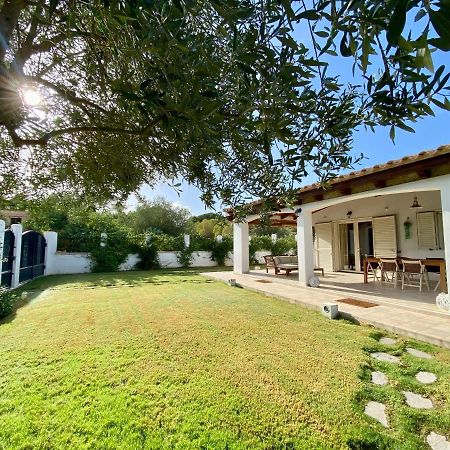 Villa La Casa Dell Olivo Castiadas Exterior foto